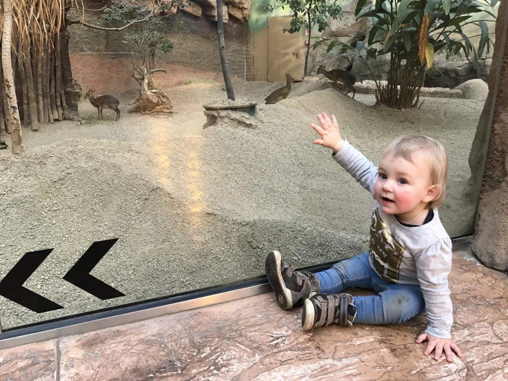 dziecko w zoo