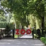 zwiedzanie ZOO w Krakowie