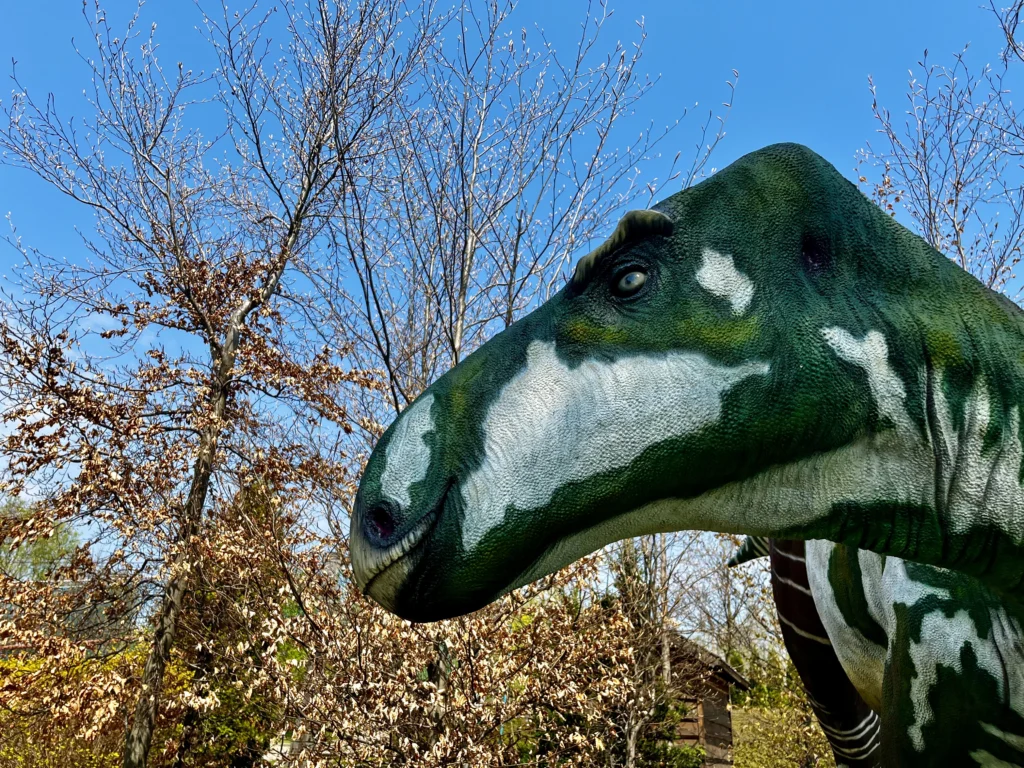 dinozaur park