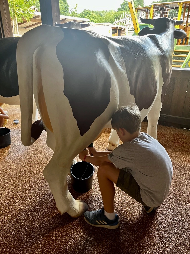 dziecko doi sztuczną krowę